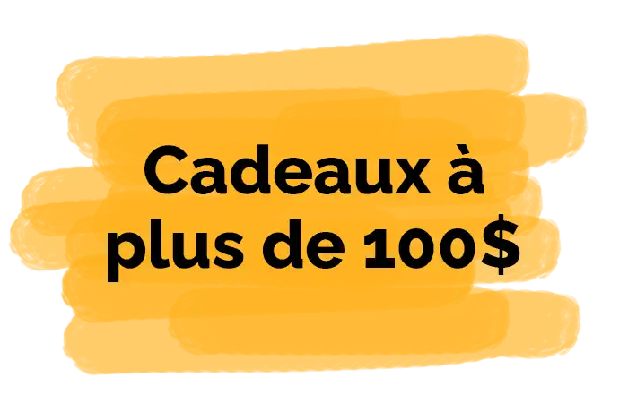 cadeaux à plus de 100$