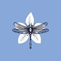Logo Harrington pétillants botaniques