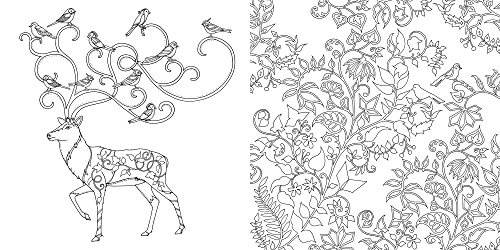 Coloriage anti stress – Forêt enchantée coloriage anti stress foret enchantee