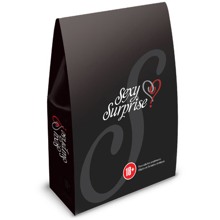 Résultats de recherche d'images pour « sac surprise sexy »