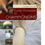 Guide d'initiation aux champignons