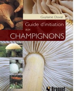 Guide d’initiation aux champignons
