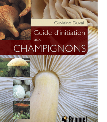 Guide d’initiation aux champignons