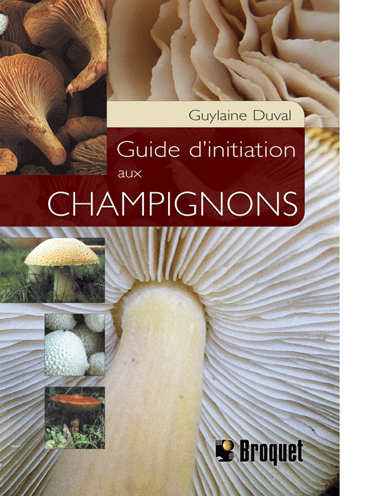 Guide d’initiation aux champignons