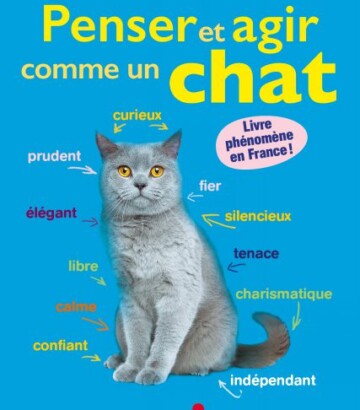 Penser et agir comme un chat