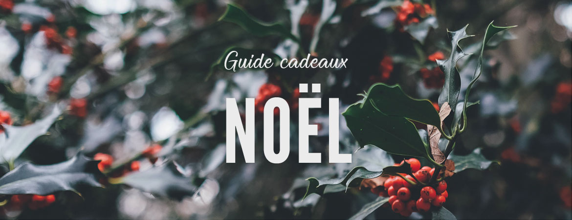 Guide cadeaux Noël