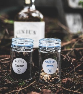 Recharge Ginius – Citron & Grains du paradis