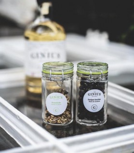 Recharge Ginius – Pétales de rose & concombre