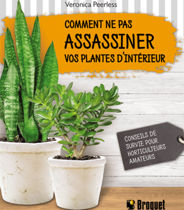 Comment ne pas assassiner vos plantes d’intérieur