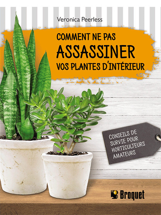 Comment ne pas assassiner vos plantes d’intérieur