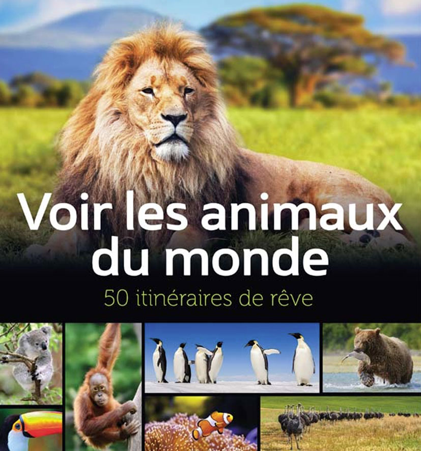 Voir les animaux du monde – 50 itinéraires de rêve