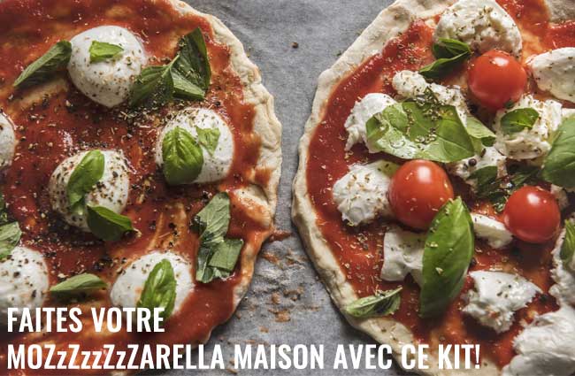 ensemble pour faire du fromage à la maison