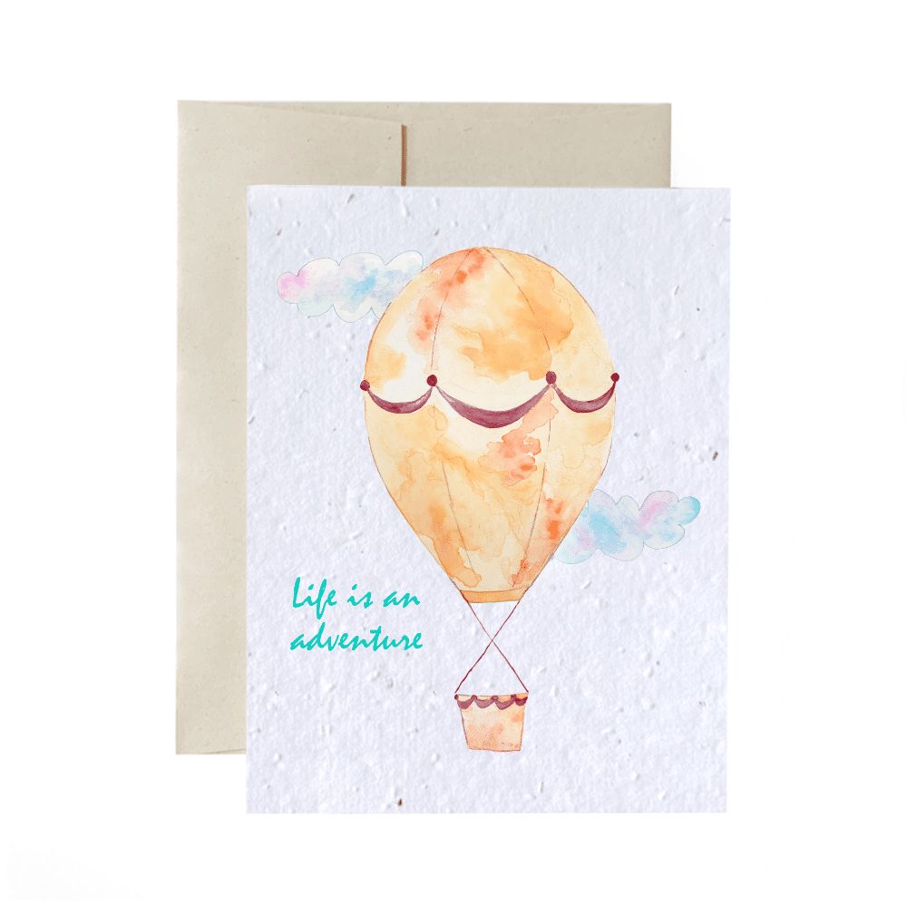 Carte De Souhaits A Planter Montgolfiere Idee Cadeau Quebec