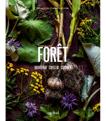 Forêt – Identifier, cueillir & cuisiner
