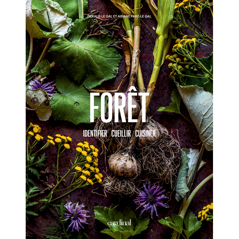 Forêt – Identifier, cueillir & cuisiner