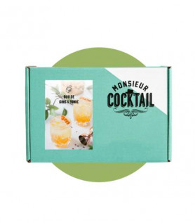 Kit Monsieur Cocktail – Gin Tonic
