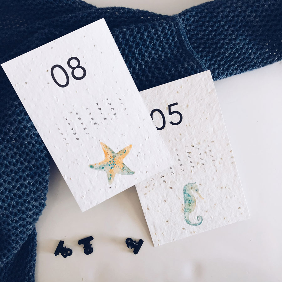Calendrier 2021 A Planter Animaux Lents Idee Cadeau Quebec calendrier 2021 cocooning