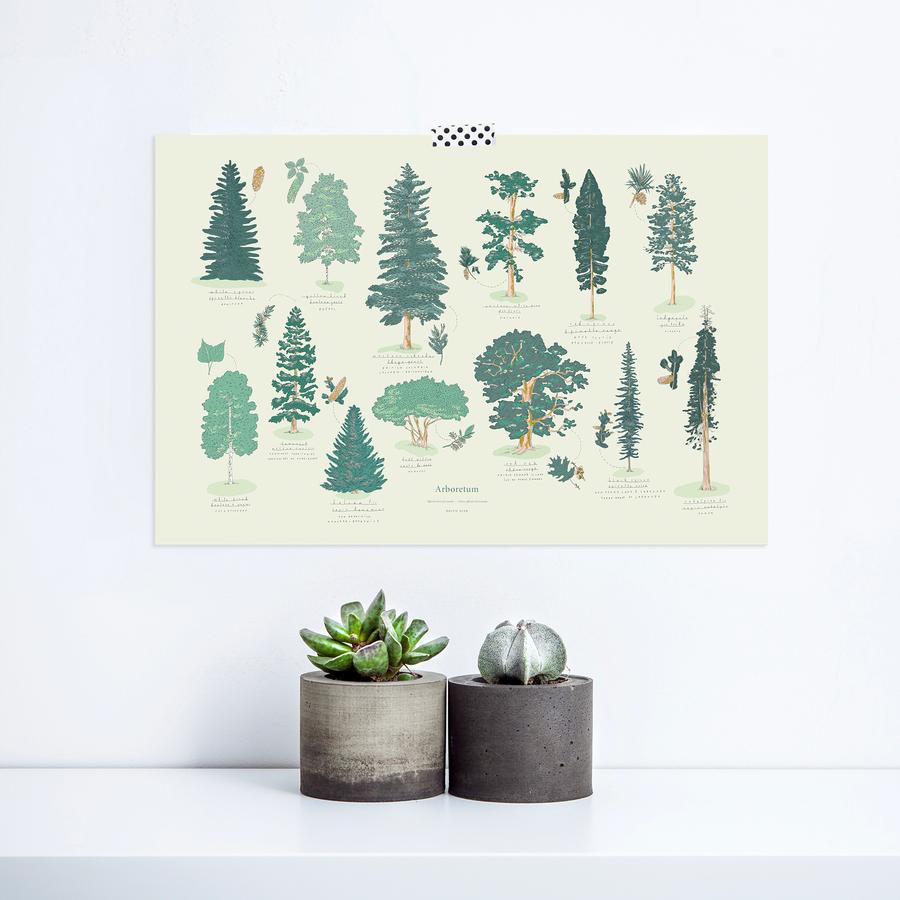 Affiche Arboretum – Arbres du Canada