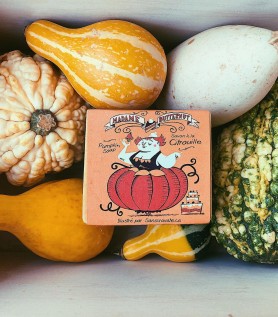 Madame Butternut – Savon à la citrouille