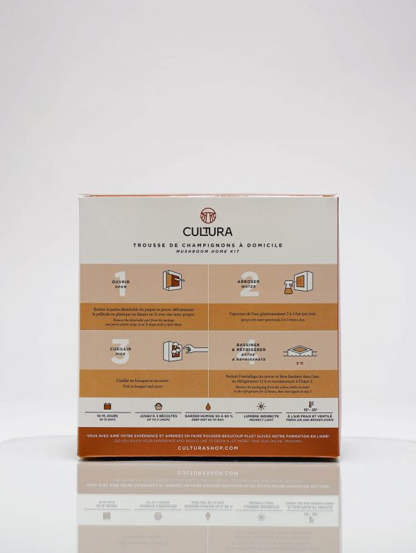 Culture De Champignons Maison Pleurotes Blancs Idee Cadeau Quebec