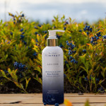 Crème hydratante aux bleuets sauvages
