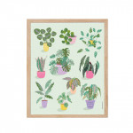 Affiche - Plantes