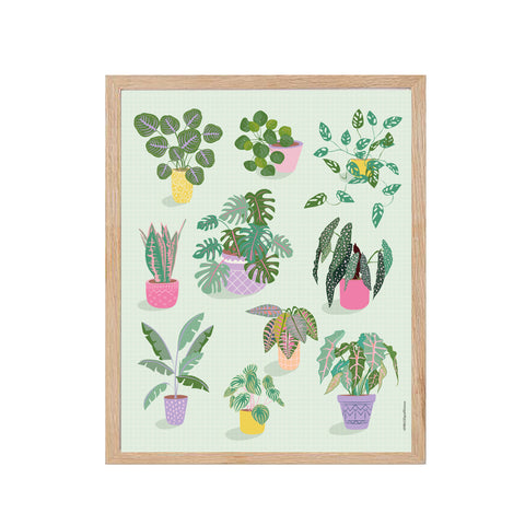 Affiche – Plantes