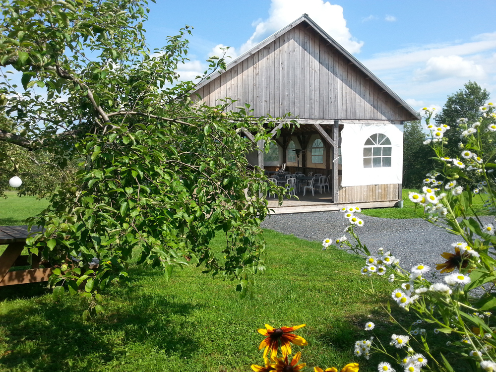 Vignoble à visiter pour la fête des mères