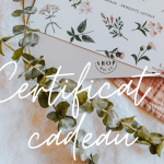 Certificat cadeau - Boîte Shop moi ça