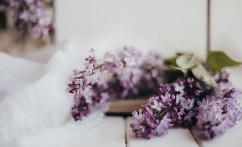 Bruine d'ambiance au lilas pour la fête des mères