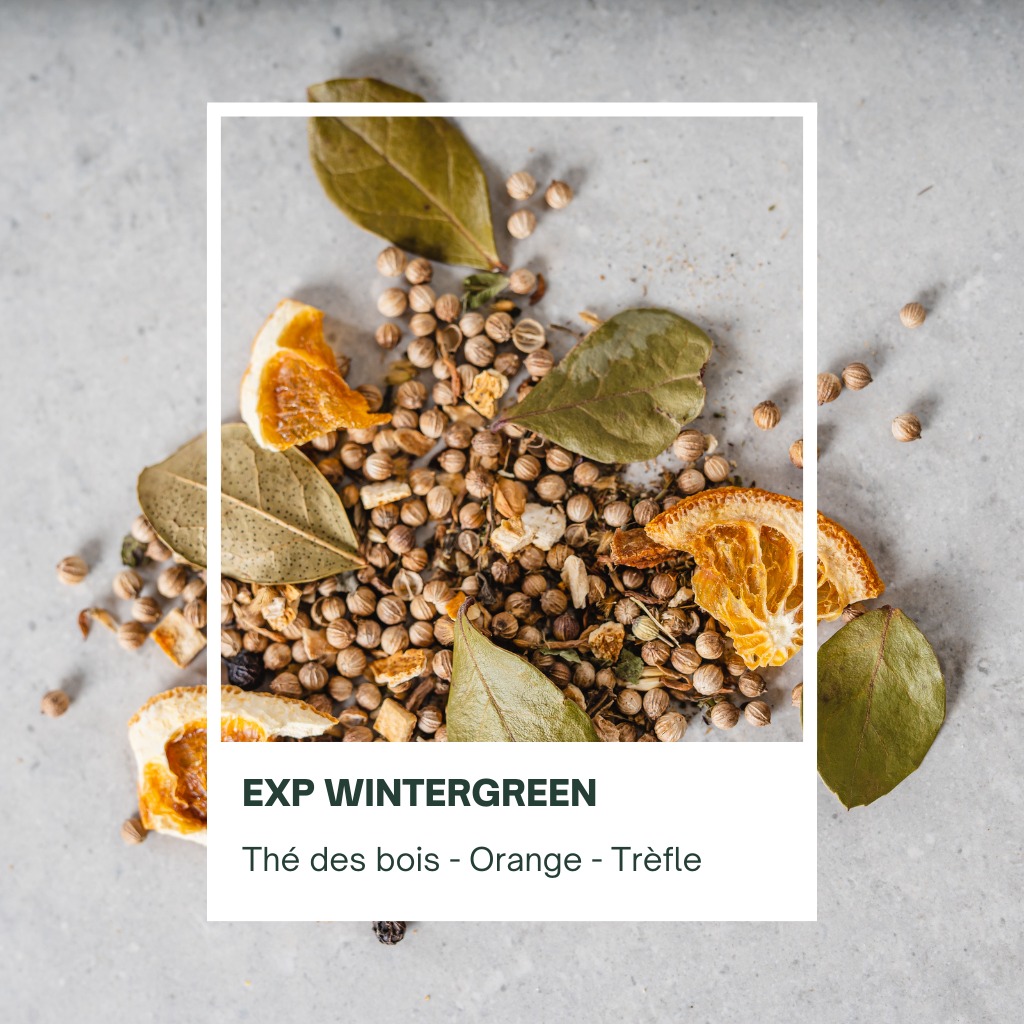 Faites votre Gin Maison (Style Wintergreen)