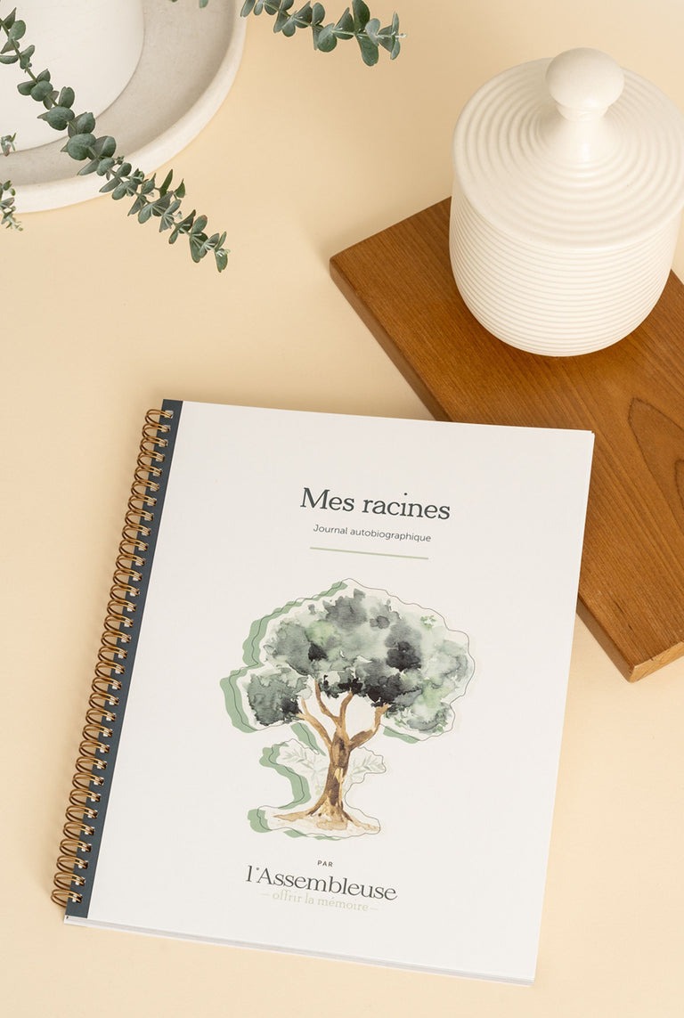Boutique en ligne de L'Assembleuse