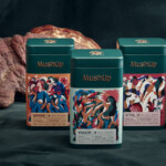 Cafés aux champignons - Trio MushUp