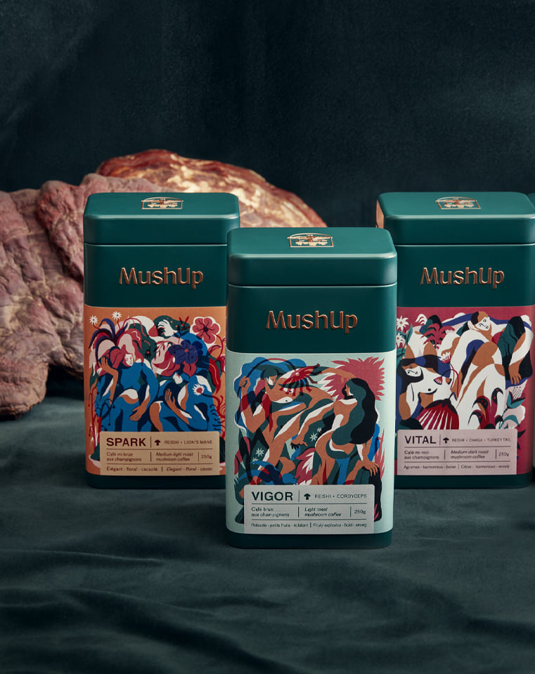 Trio de café deluxe – MushUp