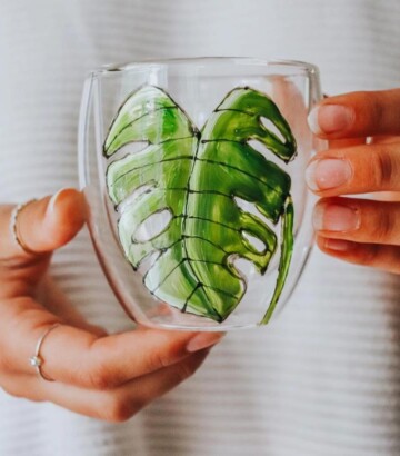 Verre double paroi avec Monstera