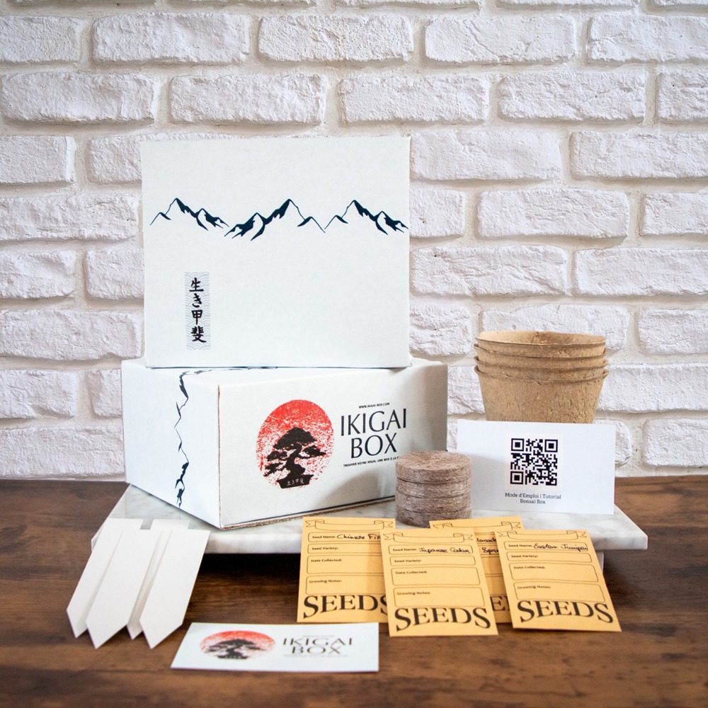 Kit de démarrage de bonsaï maison pour un échange de cadeaux de Noël