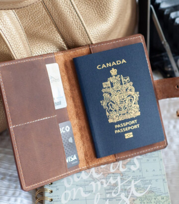 Porte-passeport en cuir pour voyage