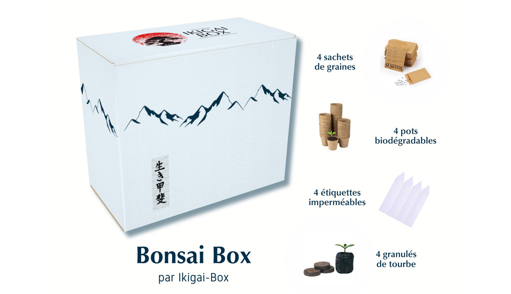 boîte de démarrage à bonsaï