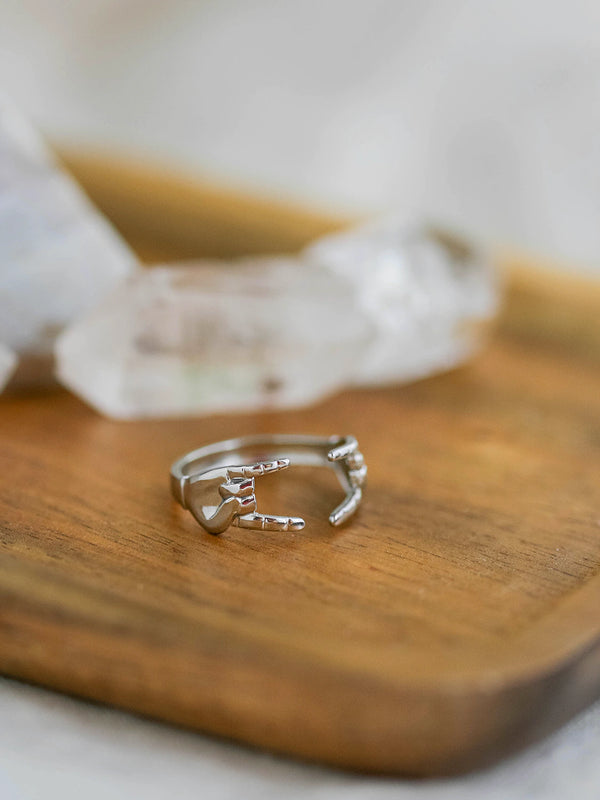 Bague argent rock and roll