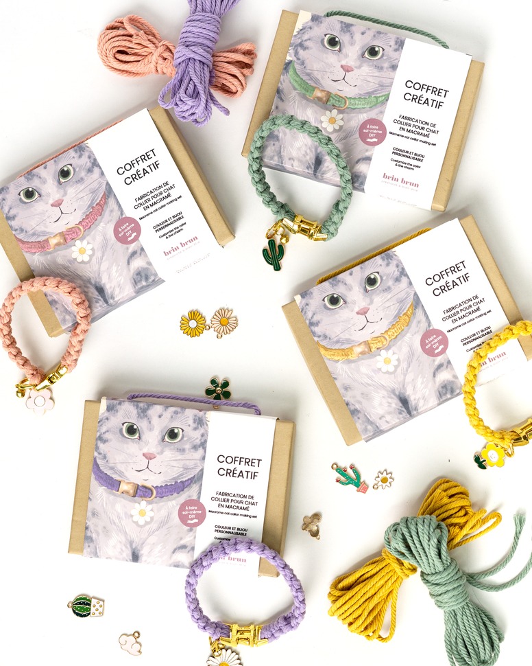 Collier pour chat DIY – Coffret créatif