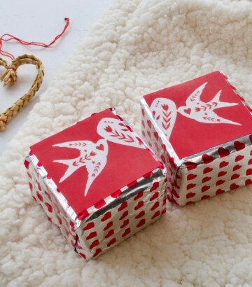 Duo de cubes de bain