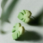 Puce d'oreilles Monstera