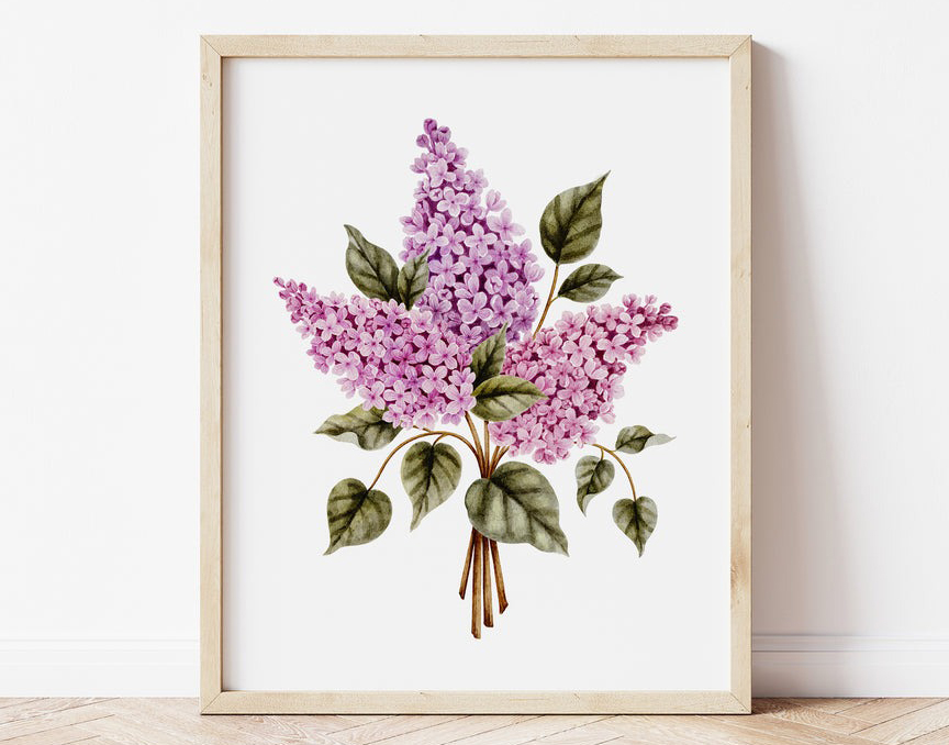 Affiche d'un bouquet de lilas