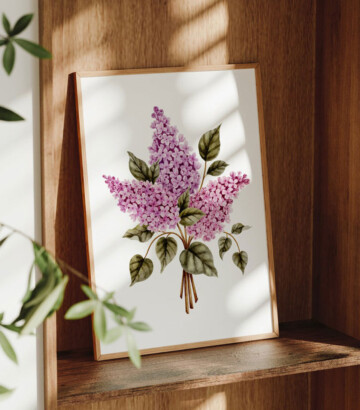 Affiche – Bouquet de lilas