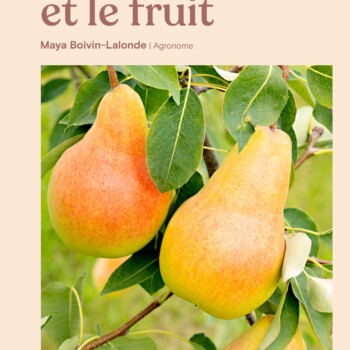 Livre La fleur et le fruit