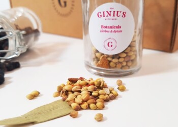 Ginius-épices-kit-unboxing