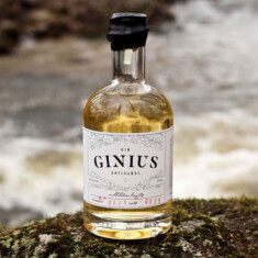 Kit à gin ginus