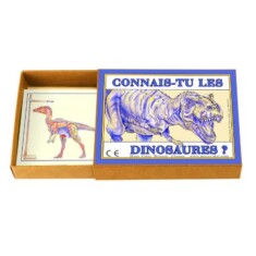 CONNAIS-TU LES DINOSAURES?